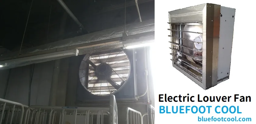 BLUEFOOT COOL electric louver fan industrial exhaust fan large louver fan shutter exhaust fan power louver fan 15053214752250