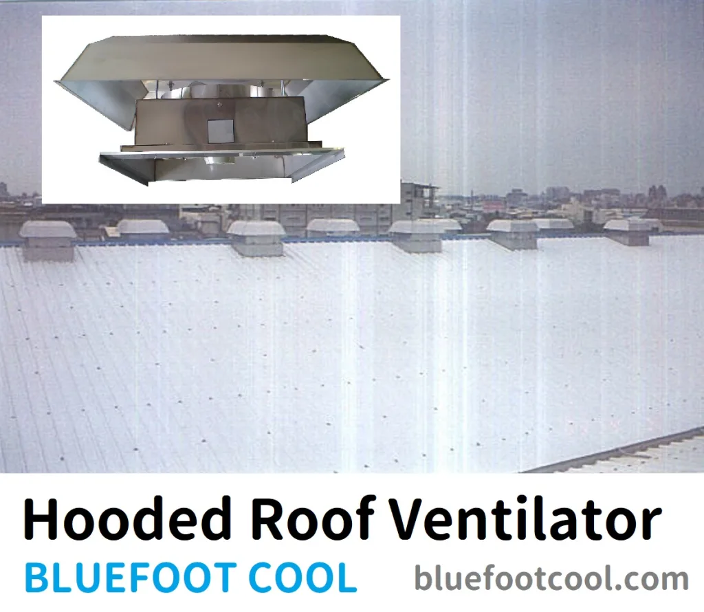 屋上換気扇 - BLUEFOOT COOL