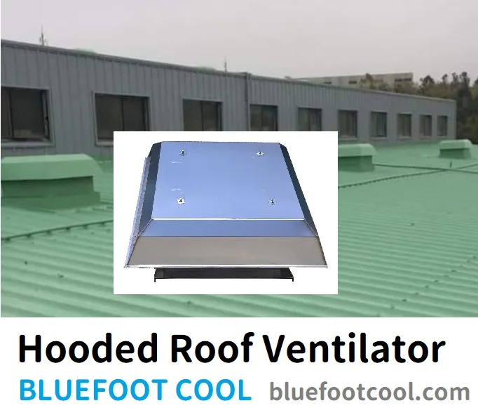 屋上換気扇 - BLUEFOOT COOL